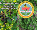 Coastal Discovery Museum Fall Native Plant Sale